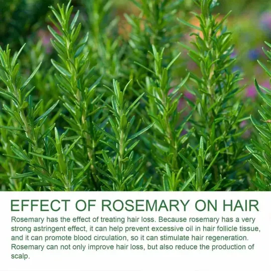 Rosemary Shampoo for women product image