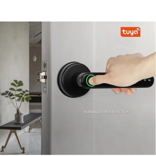 قفل كهربائي للباب Electric door Handle product image